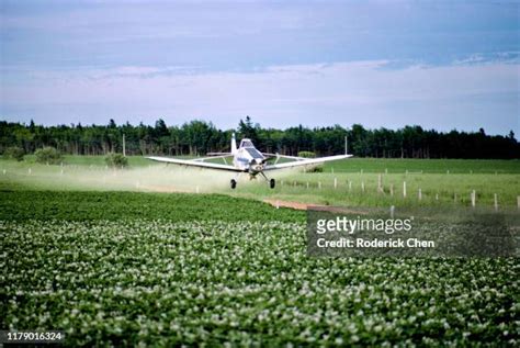 59 Crop Duster Plane Pilot Stock Photos, High-Res Pictures, and Images - Getty Images