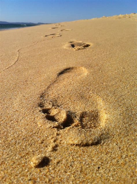 Free Images Beach Landscape Sea Desert Dune Footprint Material