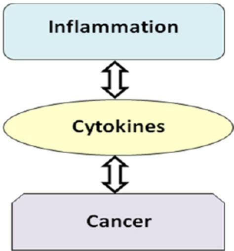 Relationship Between Inflammation Cytokines And Cancer Download