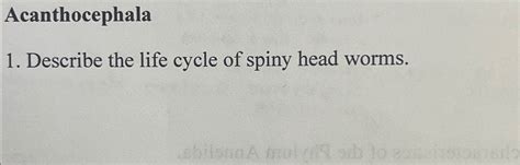 Solved AcanthocephalaDescribe the life cycle of spiny head | Chegg.com