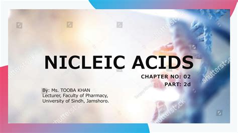 Solution Nucleic Acid Lecture Studypool