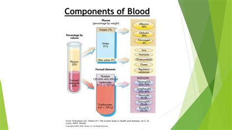 Solution Hematological Tests Cbc And Cases Studypool