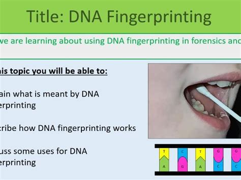 Fingerprinting And Dna Fingerprinting ~ Ks3 Teaching Resources