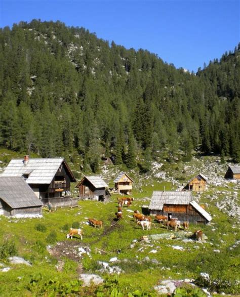 Seven Lakes Valley Slovenia Hiking Guided Tour Hours