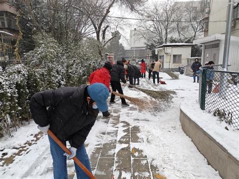 凝聚小温暖，汇聚大能量，西城区以“雪”为令，集结文明力量志愿者新浪新闻