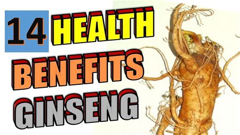 14 Amazing Health Benefits Of Ginseng To Blow Your Mind Youtube