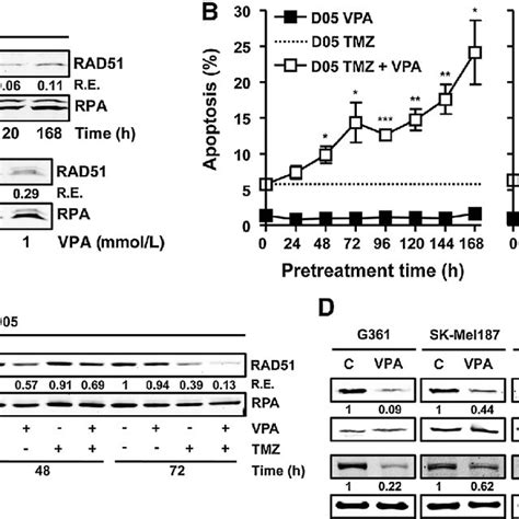 Inhibition Of Hdac Sensitizes Melanoma Cells To Genotoxin Based