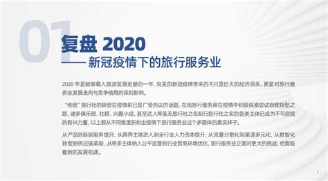 中国旅游研究院：2020年中国旅行服务业发展报告 互联网数据资讯网 199it 中文互联网数据研究资讯中心 199it