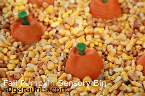 Egg Carton Pumpkins Fall Sensory Bin The OT Toolbox