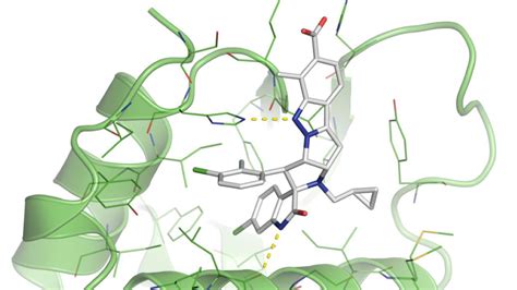 Targeting Mdm2 P53 In Cancer The Story Of Brigimadlin Boehringer