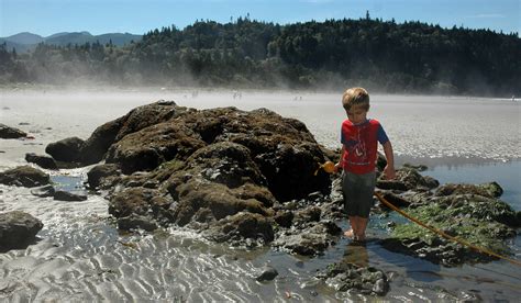 Salt Creek Recreation Area | The Olympic Peninsula, WA