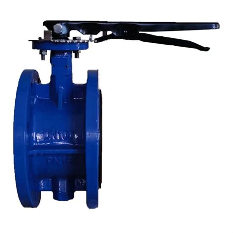 China Double Flange Butterfly Valve Suppliers Customized Double