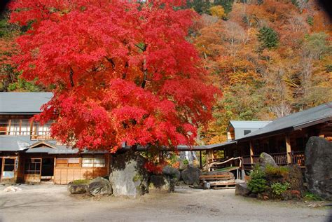 【紅葉露天・栃木】日光奥鬼怒温泉郷・八丁の湯秘境中の秘境！歩いてしか行けない絶景温泉旅館 おんせんニュース