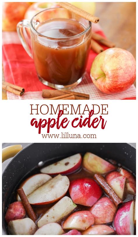 The Best Homemade Hot Apple Cider Recipe Lil Luna