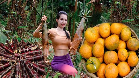 Full Video Days Harvesting Bamboo Shoots Oranges Sugarcane To