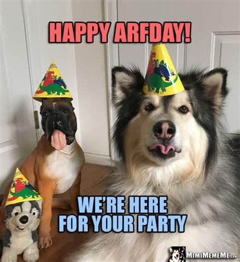 100+ Happy Birthday Dog Memes