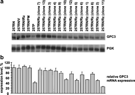 Gpc3 Mrna Expression Level In Various Anti Gpc3 Ribozyme Download Scientific Diagram