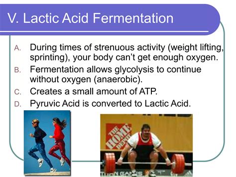 In The Presence Of Oxygen Glycolysis Is Followed By 4