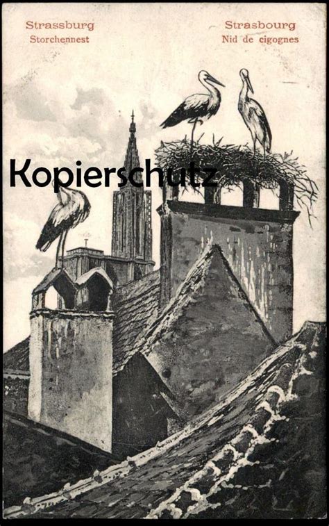 Alte Postkarte Strassburg Strasbourg Storch Cigogne Nid De Cigognes