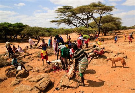 In northern Kenya, drought may keep some herders from voting | Reuters