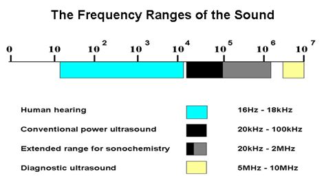 Science online: The types of the sound waves