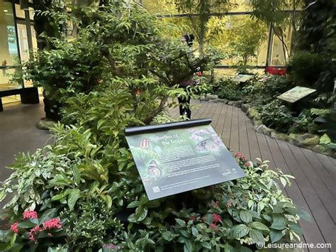 Butterfly Garden at Changi Airport, Singapore - Leisure and Me