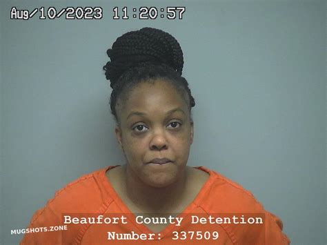 Whitney Anderson 08 10 2023 Beaufort County Mugshots Zone