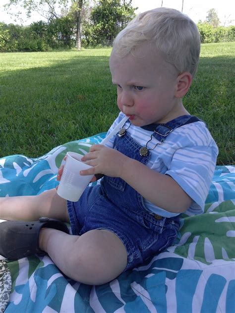 Energy Drink....Better than Gatorade - Honey Brook Farms - Culpeper, VA