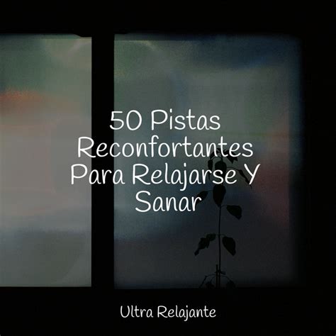 50 Pistas Reconfortantes Para Relajarse Y Sanar Album By Academia De