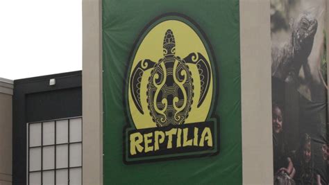 Reptilia still plans to open its doors