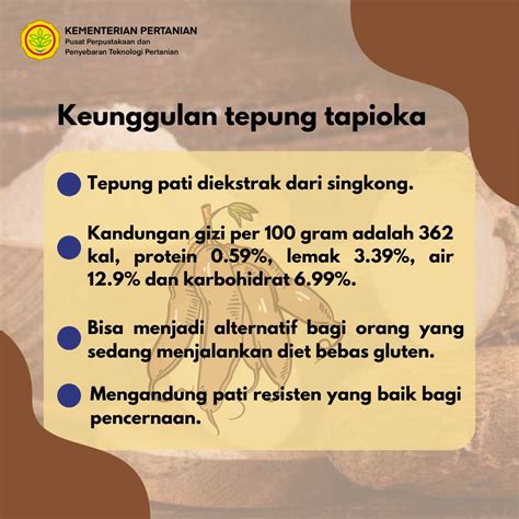 Mengenal Tapioka