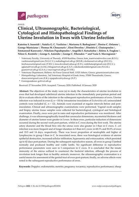 PDF Clinical Ultrasonographic Bacteriological Cytological And