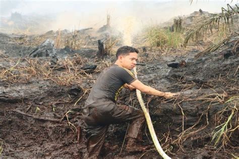 Tim Gabungan Padamkan Karhutla Di Sejumlah Titik Di Palangka Raya