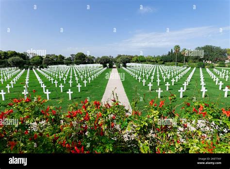 Orth Africa American Cemetery Honoring The Victims Of World War 2