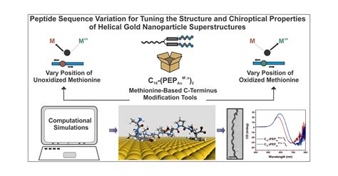 Tuning The Structure And Chiroptical Properties Of Gold Nanoparticle