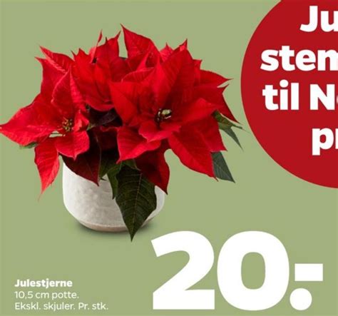 Planter Netto November 2022 Alle Tilbudsavis