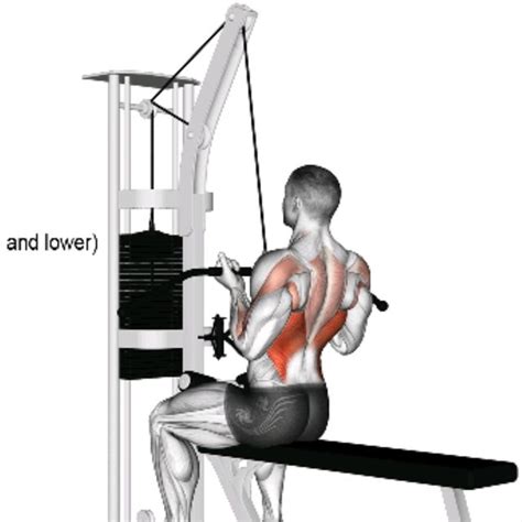 Underhand Cable Pulldowns