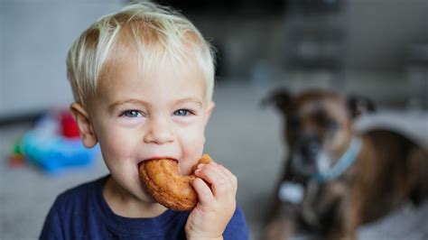 Hundefutter Selber Kochen Rezepte Und Tipps F R Gesunde Hundemahlzeiten