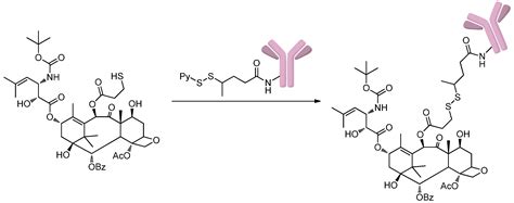 Ijms Free Full Text Methods To Design And Synthesize Antibody Drug