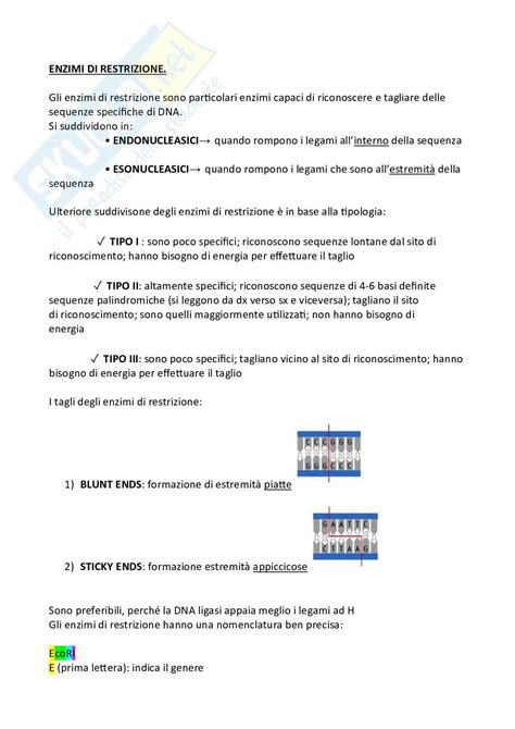 Pcr Elettroforesi Dna Ricombinante Enzimi Di Restrizione