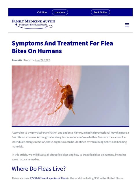 The Symptoms and Treatments for Flea Bites by FamilyMedicineAustin - Issuu