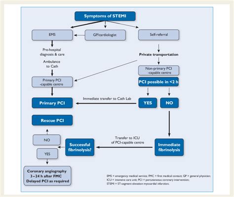 Organization Of St Segment Elevation Myocardial Infarction Patient