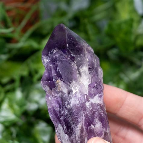 Amethyst Scepter The Crystal Council