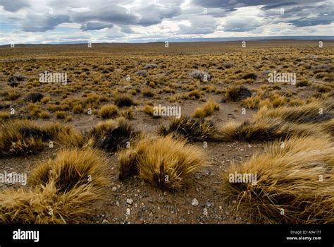 Patagonian Desert Stock Photos & Patagonian Desert Stock Images - Alamy