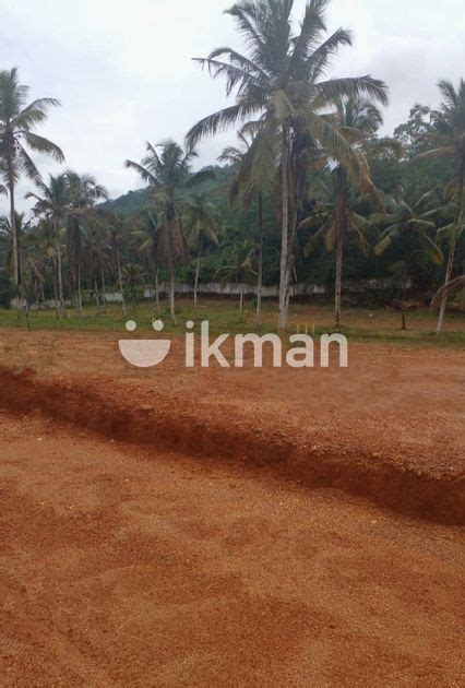 Valuable Land Plots In Thihariya Ikman