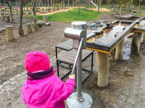 Panarbora Waldbr L Das Gibt Es Beim Baumwipfelpfad In Nrw