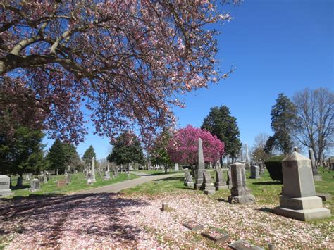 Fairview Cemetery In Bowling Green Kentucky Find A Grave Cemetery