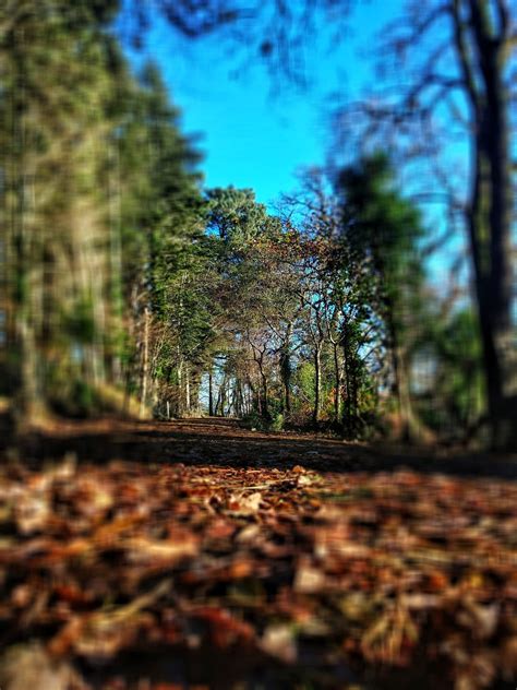 Walks Ards Friary Retreat And Contemplative Ecology Centre