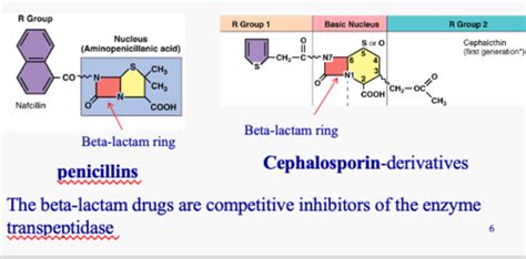 Chapter 12 Drugs Microbes Host The Elements Of Chemotherapy