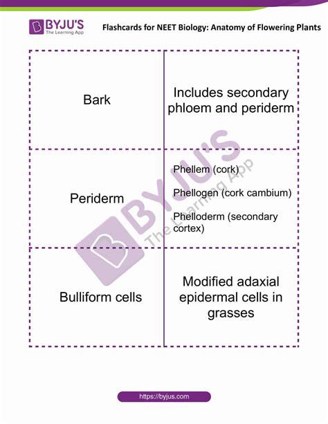 Anatomy Of Flowering Plants Flashcards For Neet Biology